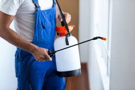 Best Residential Pest Control  in Edison, GA